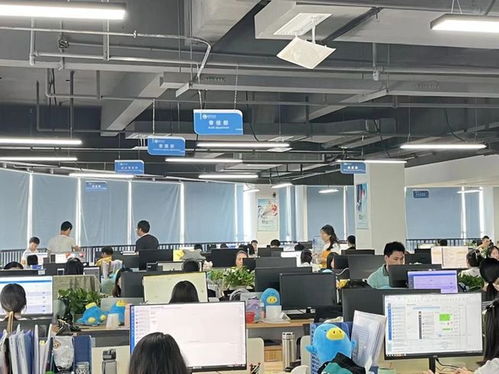 崇州引进互联网科技平台 破题职业教育培训难